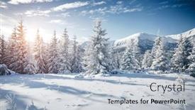  Presentation with merry christmas and new year - Amazing theme having attractive-image-of-white-spruces backdrop and a light blue colored foreground