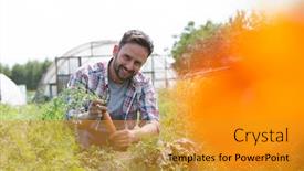  Presentation with greenhouse farm - Cool new PPT layouts with attractive-male-farmer-harvesting-carrots backdrop and a gold colored foreground