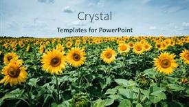  Presentation with earth land - PPT theme enhanced with attractive-scene-with-bright-yellow background and a light blue colored foreground