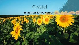  Presentation with earth land - PPT theme consisting of attractive-scene-with-bright-yellow background and a light blue colored foreground