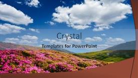  Presentation with pink flowers - PPT theme enhanced with attractive-scene-with-pink-rhododendron background and a light blue colored foreground