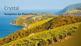  Presentation with climate - Presentation having attractive-summer-scene-overlooking background and a light blue colored foreground