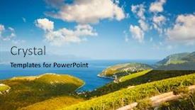  Presentation with vineyards - Cool new presentation with attractive-summer-scene-overlooking backdrop and a light blue colored foreground