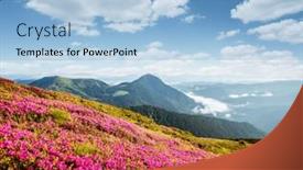  Presentation with ukraine - Presentation theme featuring attractive-summer-scene-with-flowering background and a light blue colored foreground