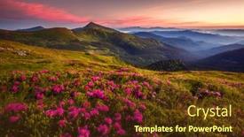  Presentation with pink beauty - Beautiful PPT theme featuring attractive-summer-sunset-with-pink backdrop and a tawny brown colored foreground