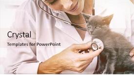  Presentation with vet - Amazing presentation having medical theme - attractive vet examining kitten backdrop and a lemonade colored foreground