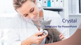  Presentation with vet - Audience pleasing presentation consisting of medical theme - attractive vet examining kitten backdrop and a sky blue colored foreground