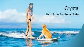  Presentation with ocean wave - Amazing PPT theme having attractive young woman surfing with her dog riding wave together in ocean surfing dog backdrop and a light blue colored foreground