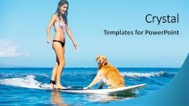  Presentation with ocean wave - Slide deck featuring attractive young woman surfing with her dog riding wave together in ocean surfing dog background and a arctic colored foreground