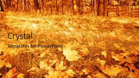  Presentation with retro - Cool new theme with attrition - autumn forest in retro style backdrop and a gold colored foreground
