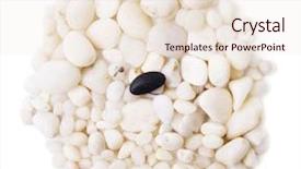  Presentation with white dna black - Colorful slides enhanced with attrition - black and white pebble stones backdrop and a  colored foreground