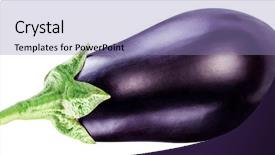  Presentation with eggplant - PPT layouts with aubergine or eggplant isolated background and a light blue colored foreground