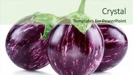 Presentation with eggplant - PPT layouts with aubergine or eggplant on white background and a mint green colored foreground