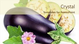  Presentation with mango leaves and paint - PPT theme consisting of aubergine or eggplant with aubergine background and a cream colored foreground