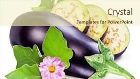  Presentation with eggplant - Slide set consisting of aubergine or eggplant with aubergine background and a soft green colored foreground