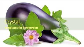  Presentation with eggplant - PPT theme having aubergine or eggplant with aubergine background and a tawny brown colored foreground