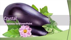  Presentation with eggplant - Amazing slides having aubergine or eggplant with aubergine backdrop and a tawny brown colored foreground