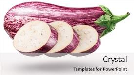  Presentation with eggplant - Cool new PPT layouts with aubergine slices on white background backdrop and a light gray colored foreground
