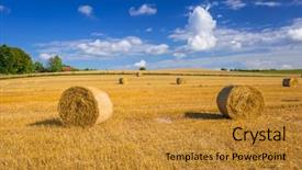  Presentation with august - Presentation enhanced with august - hay bales on the field background and a gold colored foreground