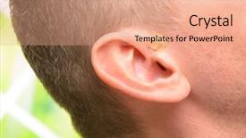  Presentation with alternative medicine - Slide set having auriculoacupuncture is a form background and a coral colored foreground