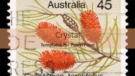  Presentation with issue - 