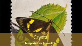  Presentation with stamp - 