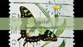  Presentation with swallow - 