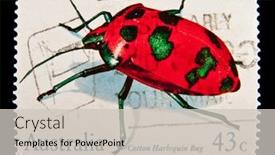  Presentation with stamp - Slide deck with australia-circa-1980s-a-stamp background and a light gray colored foreground