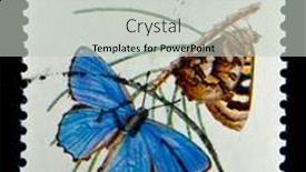  Presentation with stamp - 