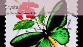  Presentation with stamp - Colorful theme enhanced with australia-circa-1980s-a-stamp backdrop and a soft green colored foreground