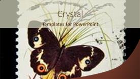  Presentation with sword - 