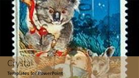  Presentation with kangaroo - 