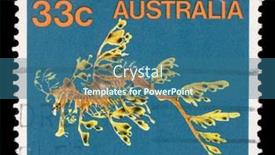  Presentation with marine - Audience pleasing slide deck consisting of heart disease 3d rendering grunge backdrop and a tawny brown colored foreground