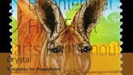  Presentation with kangaroo - 