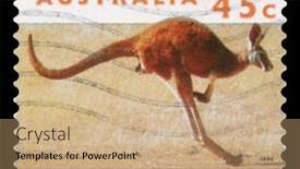  Presentation with kangaroo - 