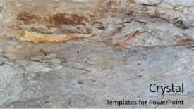  Presentation with eucalyptus australia - Cool new PPT theme with australia eucalyptus tree bark textures gumtree bark background backdrop and a light gray colored foreground
