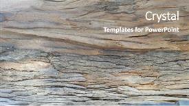  Presentation with eucalyptus australia - Amazing presentation design having barking - australia eucalyptus tree bark textures backdrop and a gray colored foreground