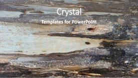  Presentation with eucalyptus australia - Beautiful slide set featuring australia eucalyptus tree bark textures gumtree bark background backdrop and a gray colored foreground