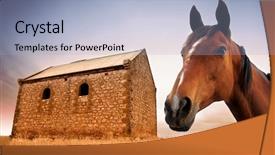  Presentation with old farm - PPT theme consisting of australia history - old abandoned farm building background and a  colored foreground