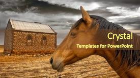  Presentation with old farm - Amazing PPT layouts having australia history - old farm building backdrop and a tawny brown colored foreground