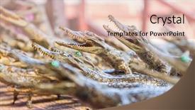  Presentation with dead cows - Slide deck enhanced with australia outback - small dead crocodiles in souvenir background and a lemonade colored foreground