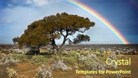  Presentation with rainbow - Amazing PPT theme having australia rural outback - rainbow over a lone tree backdrop and a tawny brown colored foreground