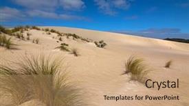  Presentation with kangaroo - PPT layouts having australian bush - high sand hill ridge background and a coral colored foreground