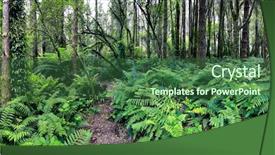  Presentation with rainforest - Beautiful presentation design featuring australian bush - panorama of lush ferny rainforest backdrop and a ocean colored foreground