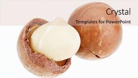  Presentation with australian bush - Beautiful slides featuring australian bush - shelled and unshelled macadamia nuts backdrop and a lemonade colored foreground