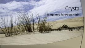  Presentation with sand dunes - PPT theme featuring australian culture - sand dunes desert plant australia background and a light blue colored foreground
