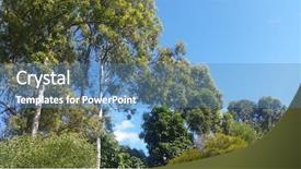  Presentation with autumn blue - Presentation theme consisting of australian eucalyptus trees and wattles background and a teal colored foreground