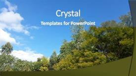  Presentation with autumn blue - Slide set enhanced with australian eucalyptus trees and wattles background and a teal colored foreground