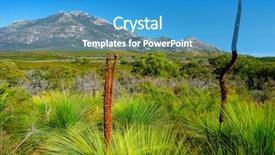  Presentation with australian - Cool new presentation theme with australian flora at wilsons promontory backdrop and a teal colored foreground