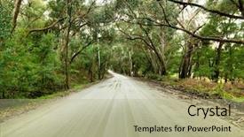  Presentation with freedom - Audience pleasing PPT theme consisting of australian forest road backdrop and a mint green colored foreground